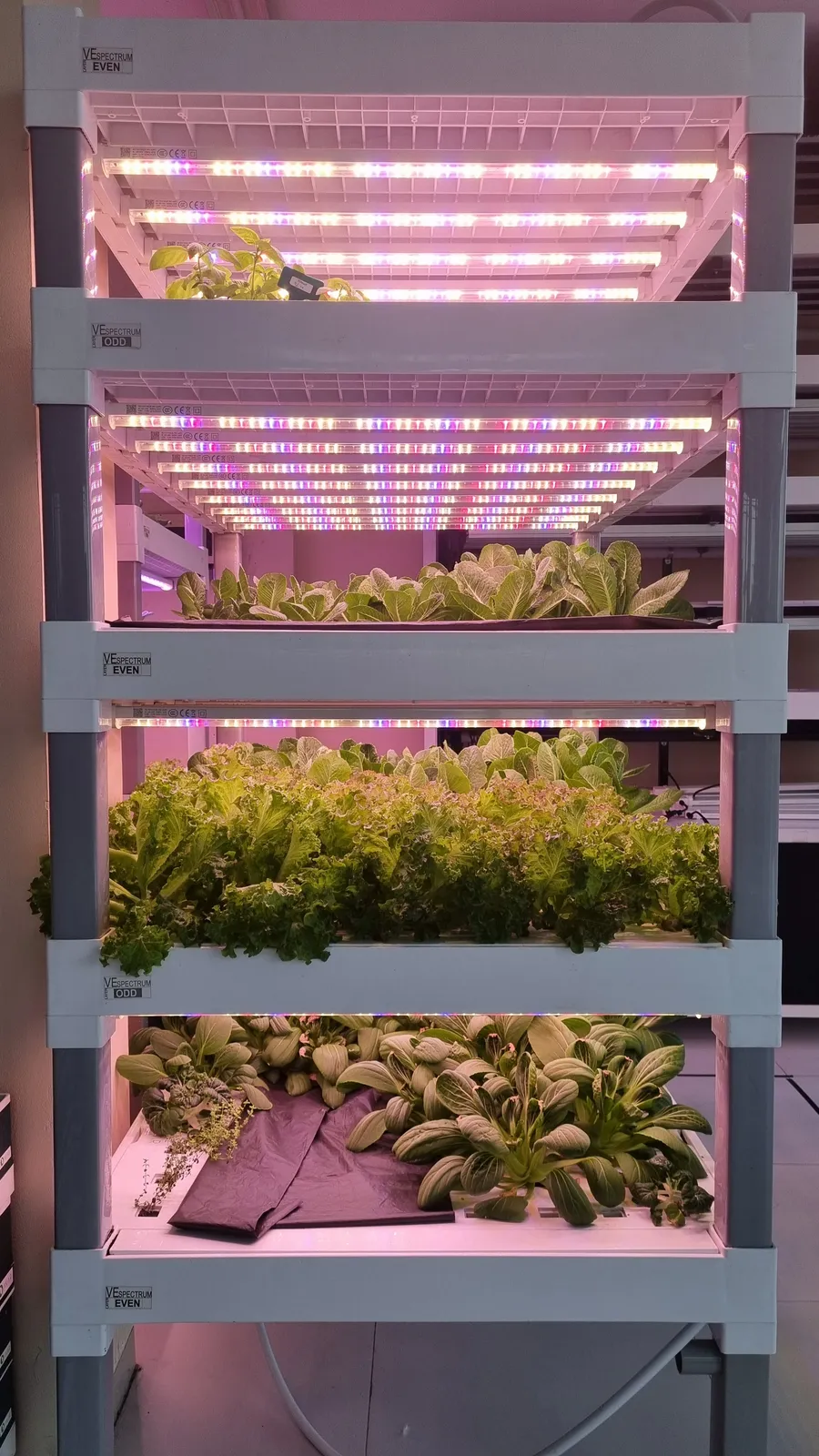 Stacked growing layers under LED